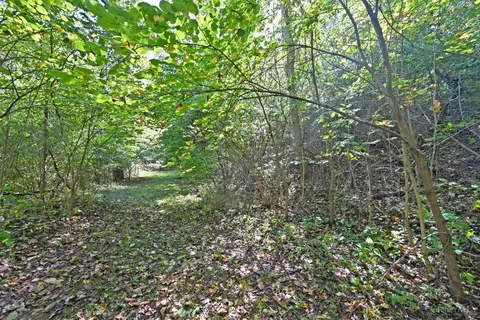 0 Ely St, Batavia, OH 45103 photo 5