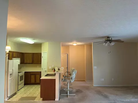 5473 Michelles Oak Ct #E, Cincinnati, OH 45248 photo 7