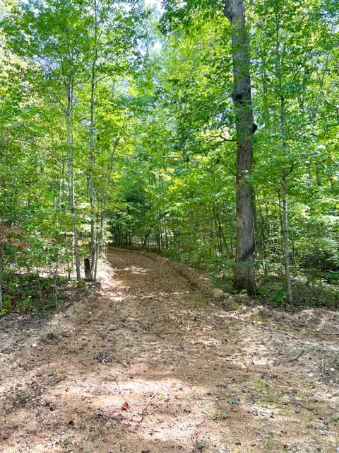 0 Fork Dr, Peebles, OH 45660 photo 10