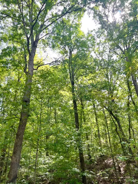 0 Fork Dr, Peebles, OH 45660 photo 18