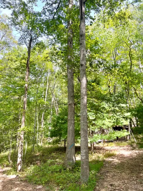 0 Fork Dr, Peebles, OH 45660 photo 7