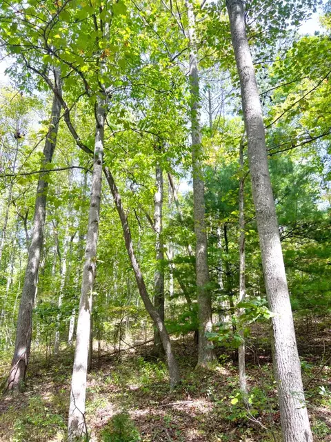 0 Fork Dr, Peebles, OH 45660 photo 8