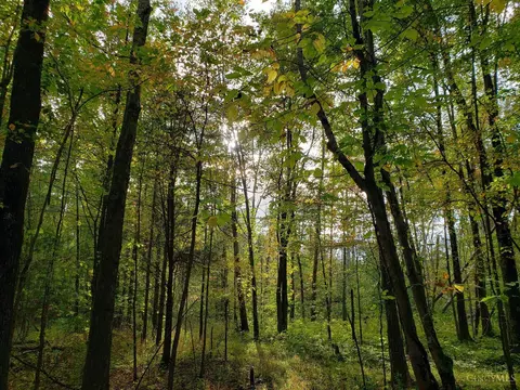 2698 Runway Ave, Tate Twp, OH 45106