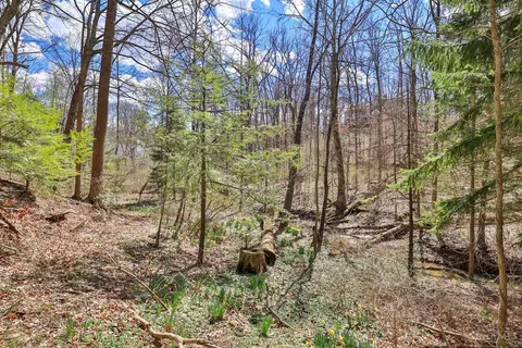 8453 Fields Ertel Rd, Cincinnati, OH 45249 photo 56