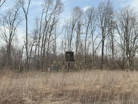 12577 Us Rt 62, Eagle Twp, OH 45171 photo 8