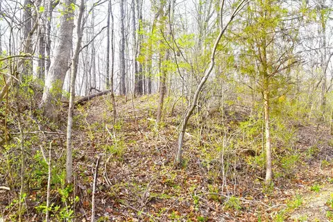 0 Woodland Trail Rd, Metamora, IN 47030
