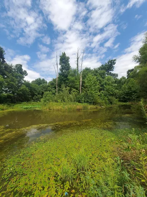 0 Grace Way, Bethel, OH 45106