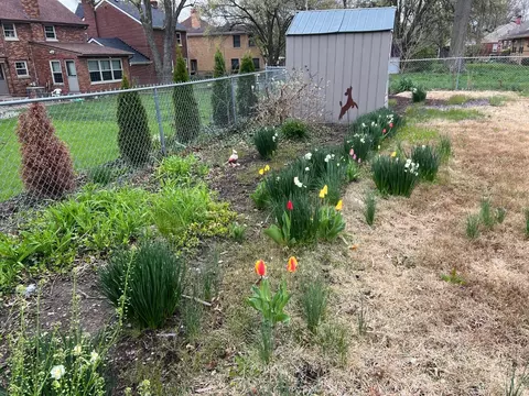 1550 Corcoran Pl, Cincinnati, OH 45224 photo 39