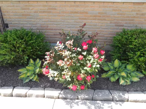 5357 Gander Dr, Cincinnati, OH 45238 photo 8