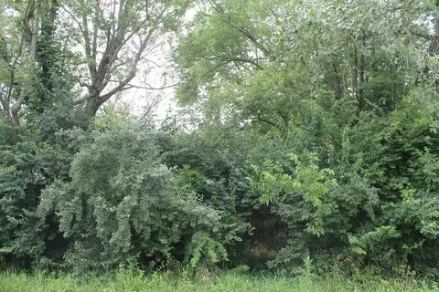 187 Mitchell Ave, Jefferson Twp, OH 45148 photo 6