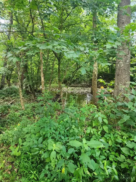 Other - 13970 Sinking Spring Rd, Peebles, OH 45660 photo 21 of 22