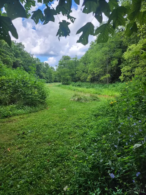 Other - 13970 Sinking Spring Rd, Peebles, OH 45660 photo 20 of 22