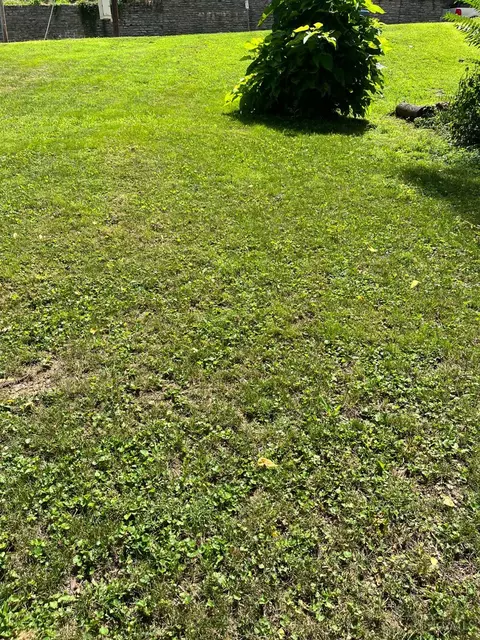 1889 Walker St, Cincinnati, OH 45202 photo 2