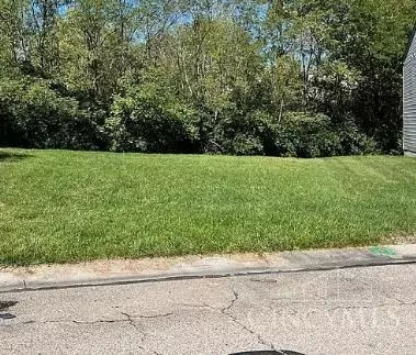 2358 Woodbluff Ct, Springfield Twp, OH 45231