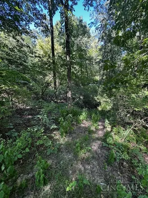 0 Whitacre Rd, Harlan Twp, OH 45107