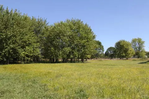 216 Pansy Rd, Blanchester, OH 45107 photo 27