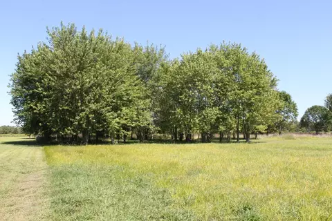 216 Pansy Rd, Blanchester, OH 45107 photo 26