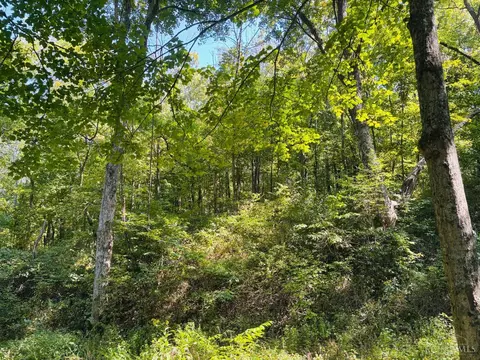 6546 St Rt 121, Alpine, IN 47331 photo 8