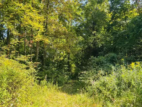 6546 St Rt 121, Alpine, IN 47331 photo 5
