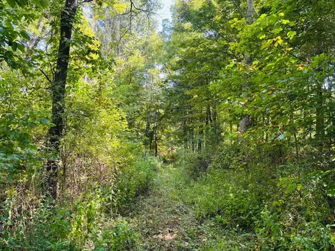 6546 St Rt 121, Alpine, IN 47331 photo 4
