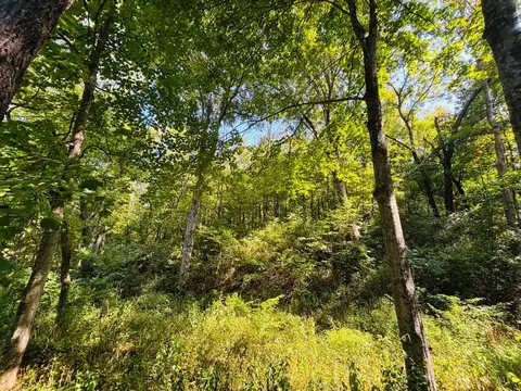 6546 St Rt 121, Alpine, IN 47331 photo 6