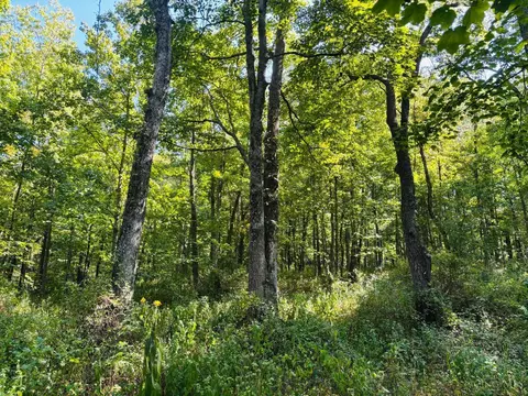 6546 St Rt 121, Alpine, IN 47331 photo 7