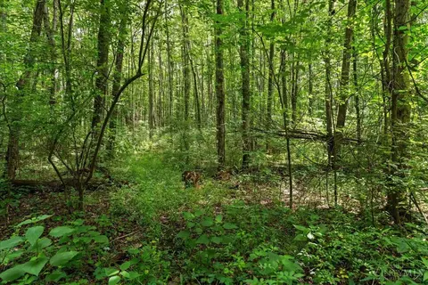 3003 Quitter Rd, Jackson Twp, OH 45176 photo 9