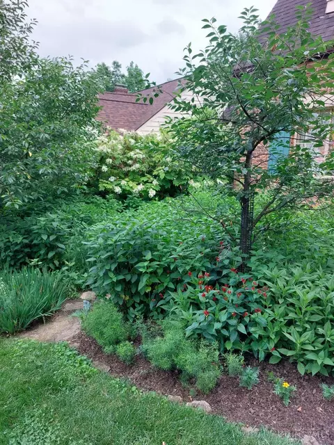 Exterior - 55 Forest Ave, Wyoming, OH 45215 photo 10 of 13
