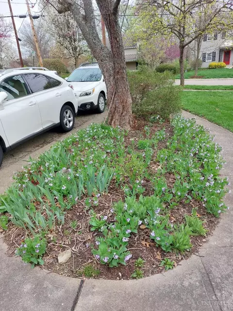 Exterior - 55 Forest Ave, Wyoming, OH 45215 photo 13 of 13