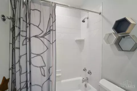 Bath - 2731 Cleinview Ave, Cincinnati, OH 45206 photo 13 of 17