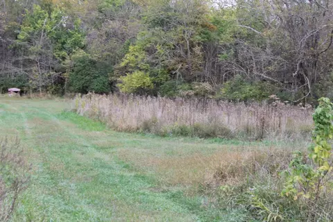 1727 Reeder Rd, Blanchester, OH 45107 photo 62