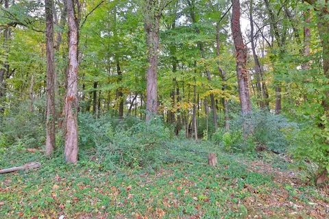 804 Eaglesknoll Ct, Cincinnati, OH 45255 photo 58