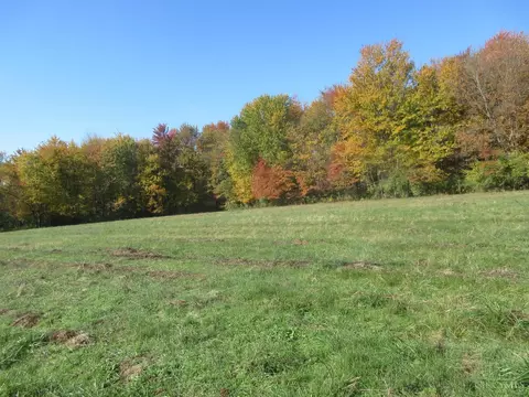 25399 Henderson Rd, West Harrison, IN 47060