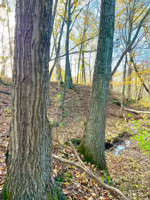 872 Mullen Rd, Washington Twp, OH 45153