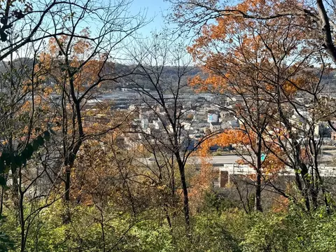View/Area - 2911 Maisel Dr, Cincinnati, OH 45220 photo 1 of 1