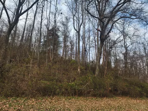 4655 Grassy Fork Rd, Mifflin Twp, OH 45660 photo 11