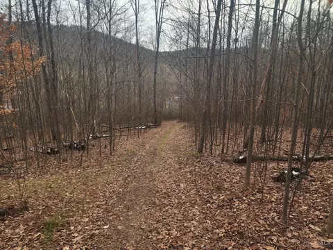 4655 Grassy Fork Rd, Mifflin Twp, OH 45660 photo 14