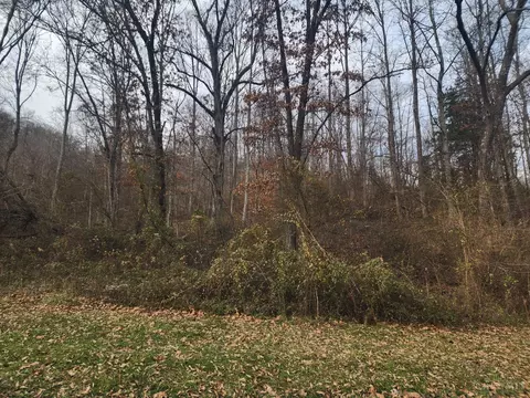 4655 Grassy Fork Rd, Mifflin Twp, OH 45660 photo 12