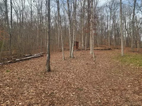 4655 Grassy Fork Rd, Mifflin Twp, OH 45660 photo 9