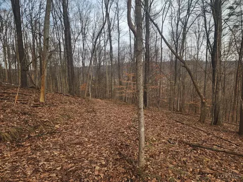 4655 Grassy Fork Rd, Mifflin Twp, OH 45660 photo 13
