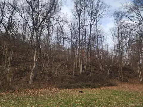4655 Grassy Fork Rd, Mifflin Twp, OH 45660 photo 10