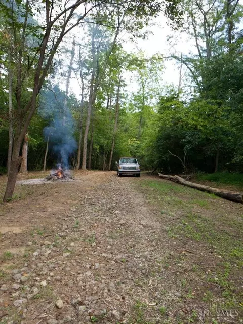 7231 Watkins Starkey Rd, Harlan Twp, OH 45107