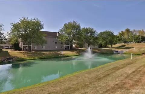 12120 Regency Run Ct, Cincinnati, OH 45240 photo 41