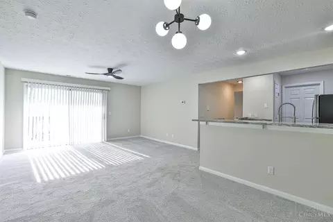 12120 Regency Run Ct, Cincinnati, OH 45240 photo 17