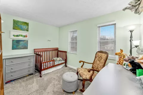 905 Shayler Rd, Cincinnati, OH 45245 photo 19