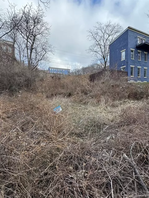 318 Seitz St, Cincinnati, OH 45202 photo 7