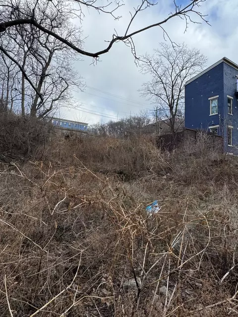 318 Seitz St, Cincinnati, OH 45202 photo 6