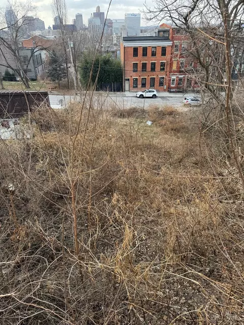 318 Seitz St, Cincinnati, OH 45202 photo 2