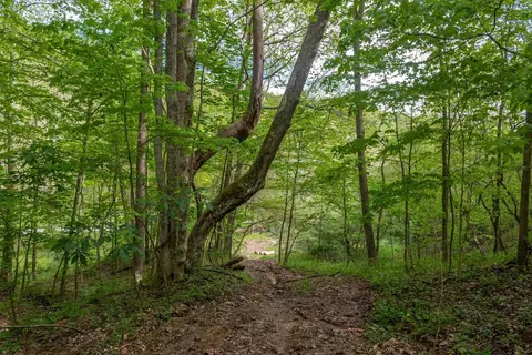 2432 Johnsons Run Rd, Jefferson Twp, OH 45616