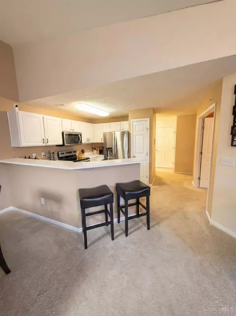 5473 Michelles Oak Ct, Cincinnati, OH 45248 photo 27